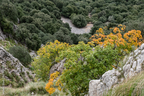 Ses Voltes d'En Galileu, Escorca, Mallorca, Balearic Islands, Spain photo