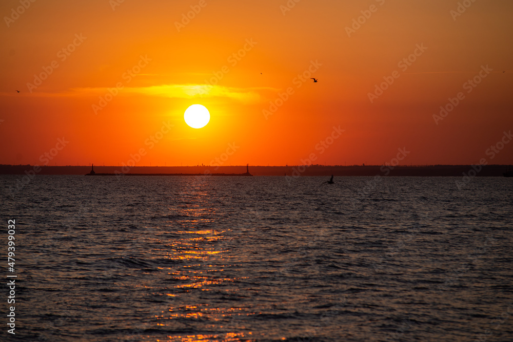 Beautiful sunset over the sea. Bird flying. Orange sky. Azov sea.