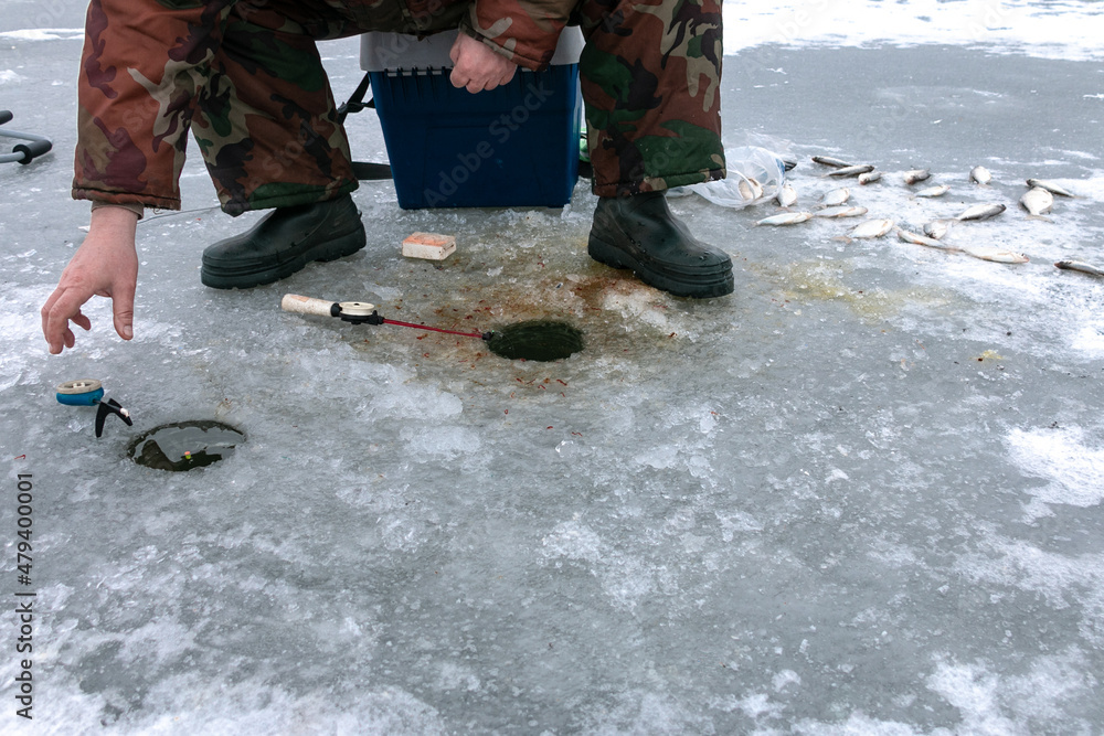 Obraz premium The fisherman's hand reaches for a winter fishing rod. Fishing rods are on the holes. A caught fish lies on the ice. Winter fishing.