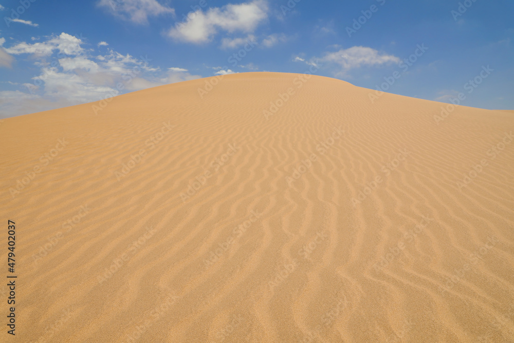 Yellow sand dunes with wavy textures against a blue sky in Swakopmund