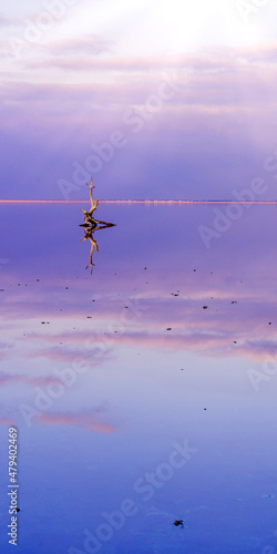 Fototapeta Naklejka Na Ścianę i Meble -  Wooden mackerel in a pink lake, salt mining. Lake Sasyk-Sivash.