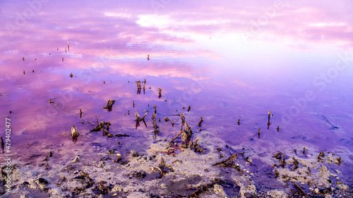 Water in the pink lake, salt mining. Lake Sasyk-Sivash. photo