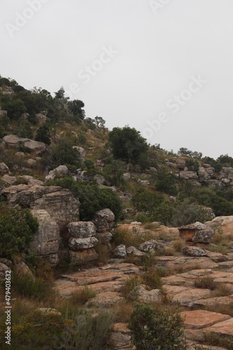 landscape in the mountains