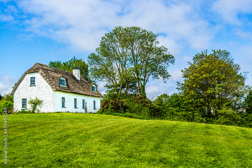 Landscape of a traditional Irish cottage country house with thatch roof next to green trees