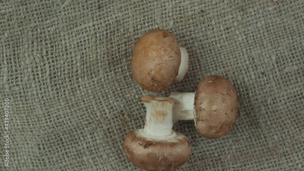 Champignon mushrooms rotate on sacking mat in pile top view. Fresh raw natural vegetables and plants. Champignon mushrooms rotate on sacking mat in pile top view. Fresh raw natural vegetables and plants.