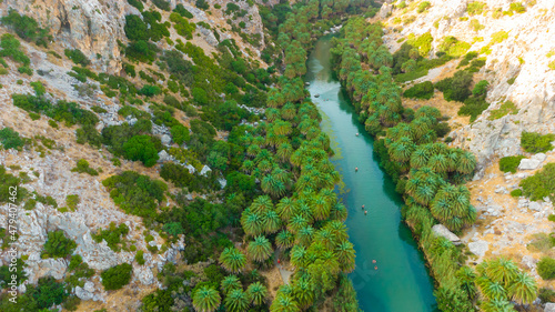 Photos Palms near green river in Preveli, Crete island, Greece