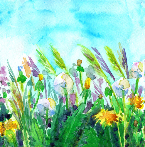 Panoramic landscape of yellow and white dandelions, various herbs, stems and green grass. Flowers of field and meadow. Hand drawn botanical watercolor sketch. Blue sky. Summer or spring. Nature