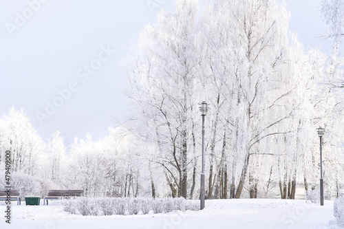 Beautiful winter park during heavy snowfall