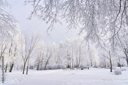 An incredible winter park during a heavy snowfall. Weather for a walk in the park © korsarid