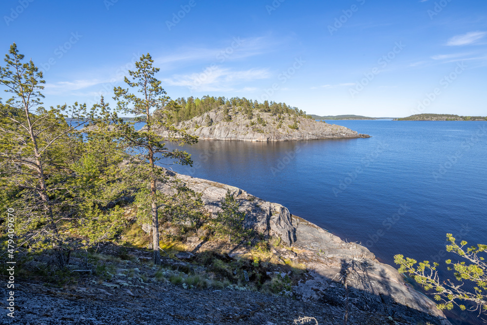 Landscape with a forest on stones over the lake. Sunny day at the lake. Reflection of the sky in the water. Pines on stones. The nature of the north.