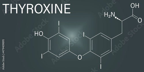 Thyroxine, T4 or levothyroxine thyroid hormone molecule. Prohormone of thyronine T3. Used as drug to treat hypothyroidism. Skeletal formula.