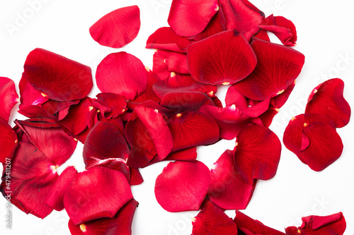 Real red rose petals background backdrop