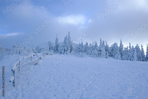 Brona Pass in Mountains Babia Gora massif in winter scenery with snowy wooden fence and spruces. Diablak, Beskid Zywiecki, Poland