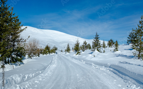 winter landscape with snow © Visualmedia