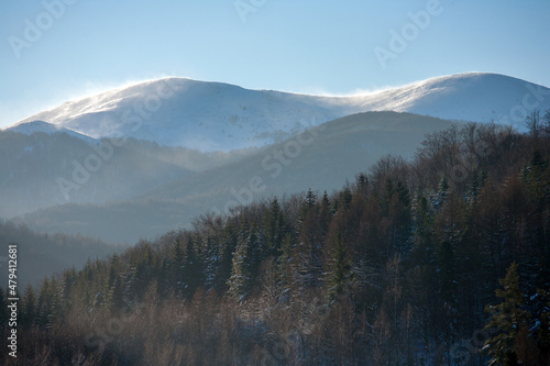 View to Polonina Carynska (Carynska Clearing), Bieszczady Mountains, Bieszczady National Park, Carpathians Mountains, Poland
