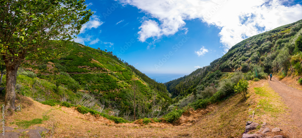 Spectacular forest panorama with slopes running all the way into the sea.