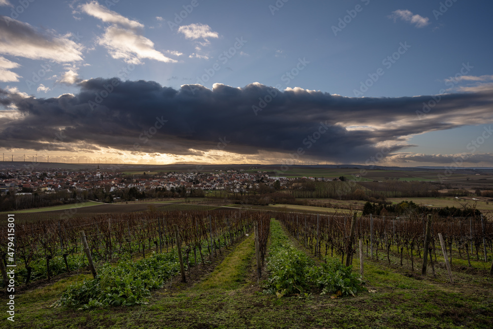 Fototapeta premium Petersberg Gau-Odernheim Januar 2022