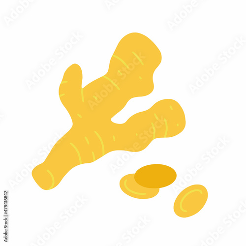 Piece of ginger root isolated on white background. Flat cartoon vector illustration