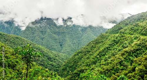 View on foggy death road in the Yungas in Bolivia photo