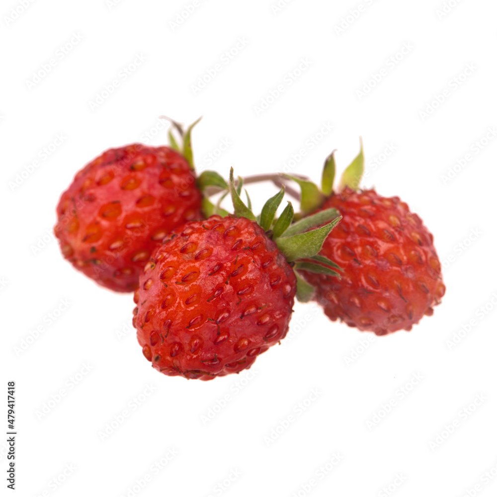 three wild strawberries isolated on white three wild strawberries isolated on white
