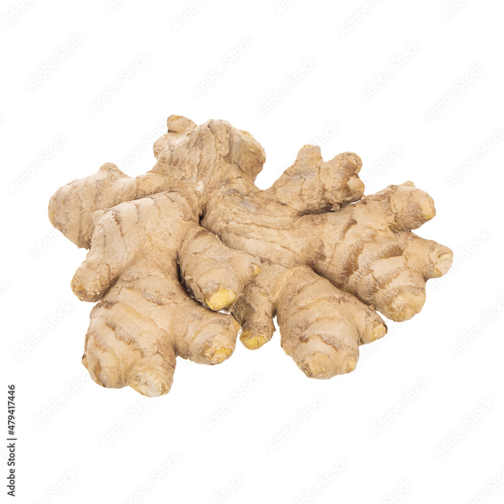 single ginger isolated on white background single ginger isolated on white background