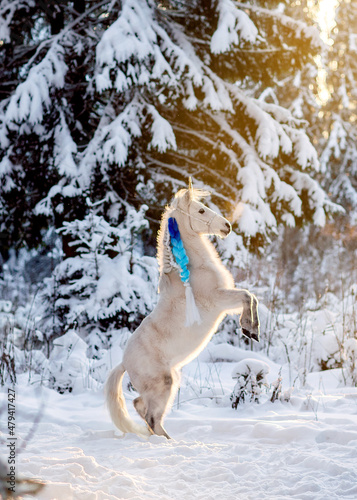 horse in winter. white pony in a snowy winter. horse standing © екатерина Цыганок