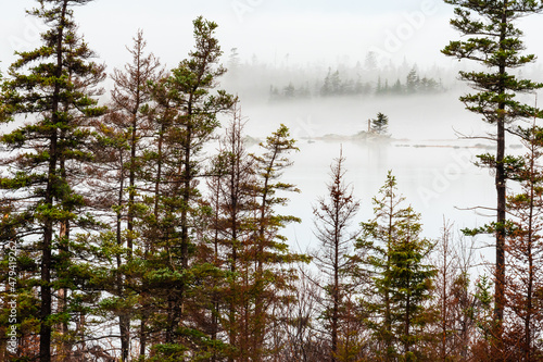 harbor fog over trees and islands photo