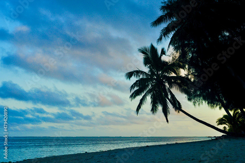 The Silhouette of a palm tree reaching out to sea on the empty beach in the blue hour at dusk. A beautiful  blue and cloud sky above - Rarotonga  Cook Islands