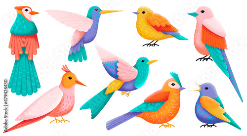 Flat decorative birds. Exotic bird  folk colorful animals. Isolated flying hummingbird. Modern art  textured wild forest elements. Swanky woodland vector characters