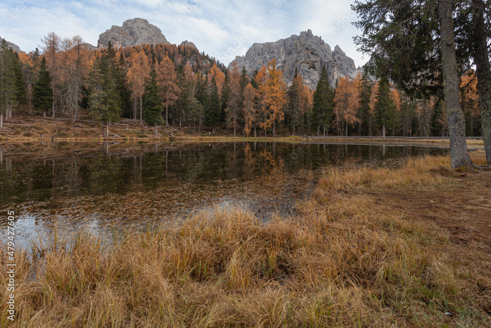 View of dolomitic lake with autumn larches and dolomitic peaks of Cadini di Misurina, Lake Antorno, Dolomites, Italy. Popular travel destination