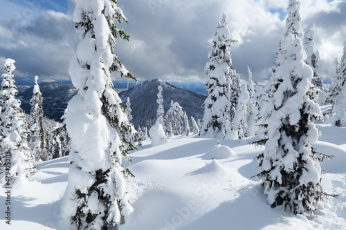 winter landscape with snow covered trees in Red Mountain