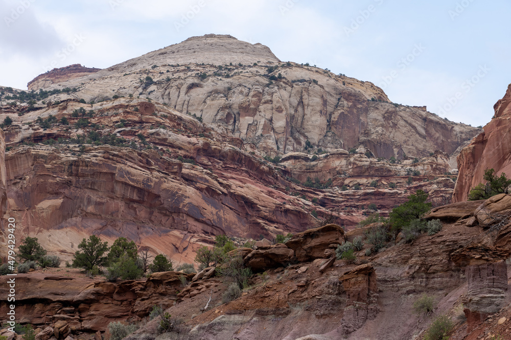 Fototapeta premium Capitol Reef National Park