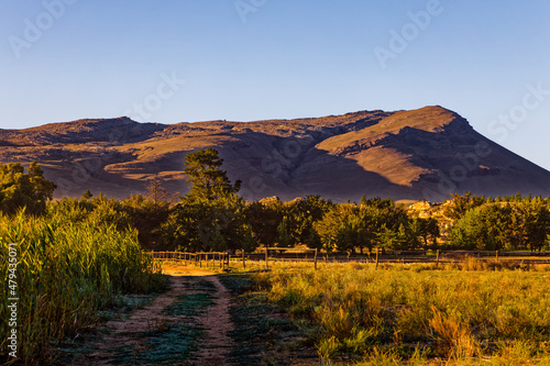 Early morning landscape of trees and hills