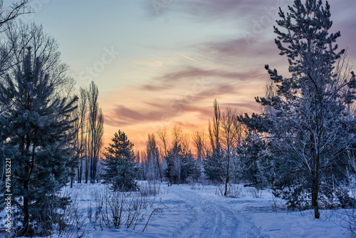 Winter sunrise  © Peter