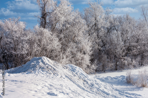 snow covered trees in winter and sliding hill