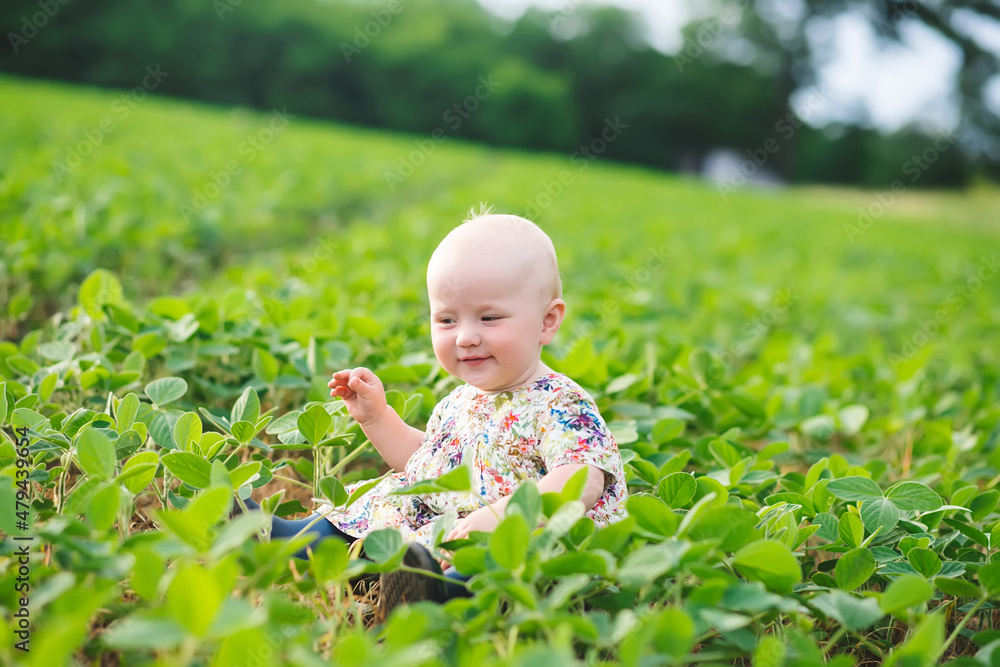 A funny little girl sits among young soybean sprouts in a farmer's field. Soybean cultivation in organic farming A funny little girl sits among young soybean sprouts in a farmer's field. Soybean cultivation in organic farming