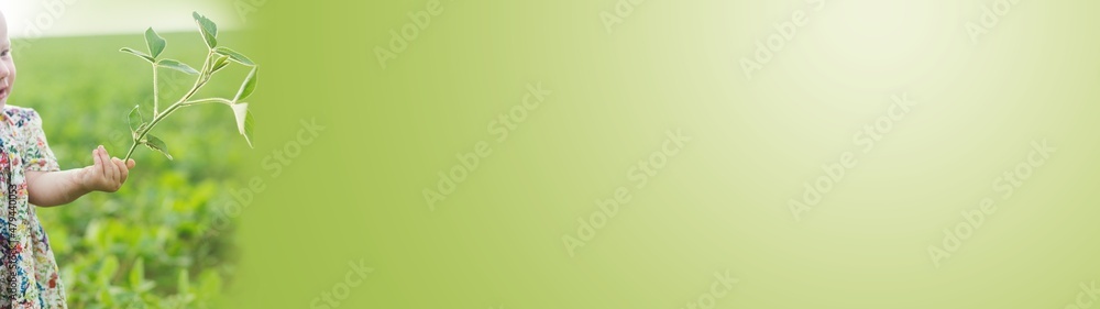 Banner little girl in a dress shows finger on soybean sprout in hands. Glycine max, soybean, soya bean sprout growing soybeans on scale. Agricultural soy plantation on sunny day. Banner little girl in a dress shows finger on soybean sprout in hands. Glycine max, soybean, soya bean sprout growing soybeans on scale. Agricultural soy plantation on sunny day.