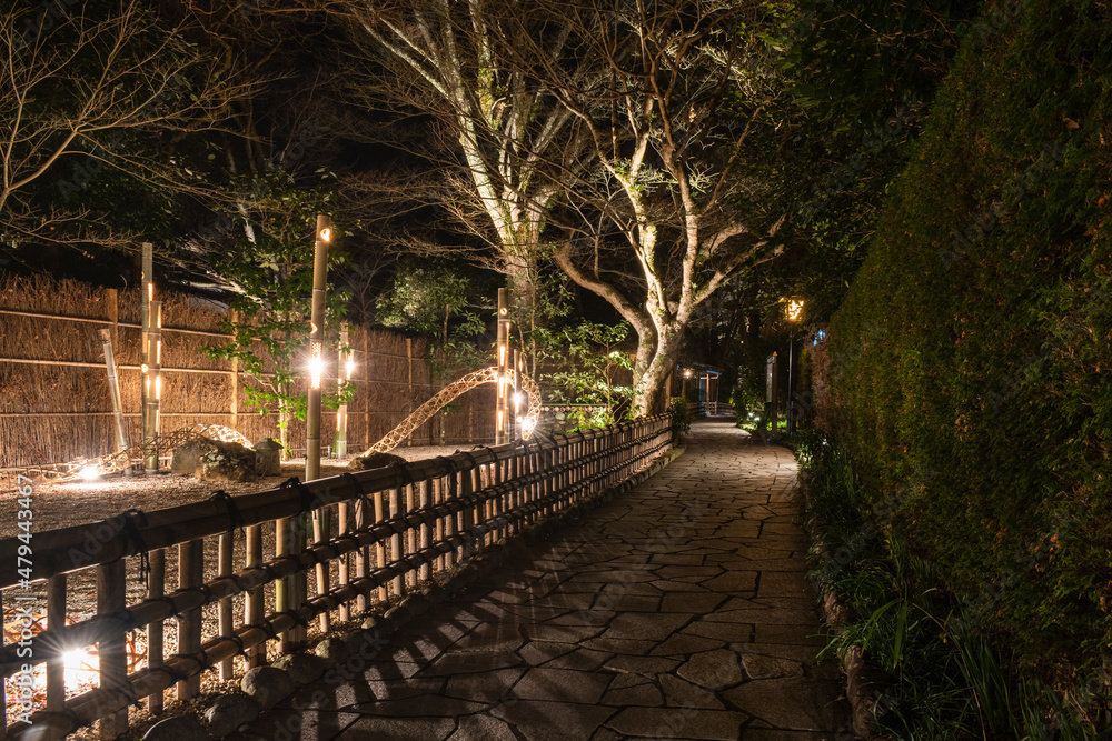 Obraz premium 冬の夜にライトアップされた修善寺温泉街の遊歩道
