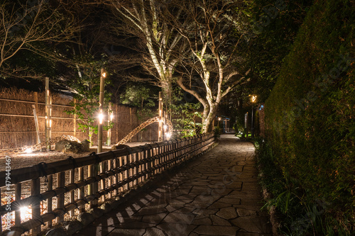 冬の夜にライトアップされた修善寺温泉街の遊歩道