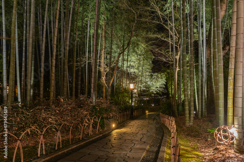 Fototapeta Naklejka Na Ścianę i Meble -  冬の夜にライトアップされた修善寺温泉街の遊歩道
