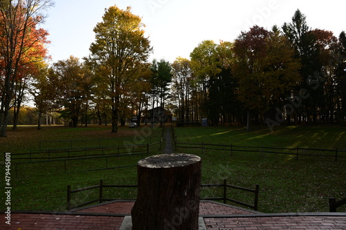 park in autumn
