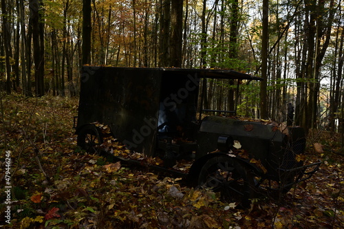 truck in forest