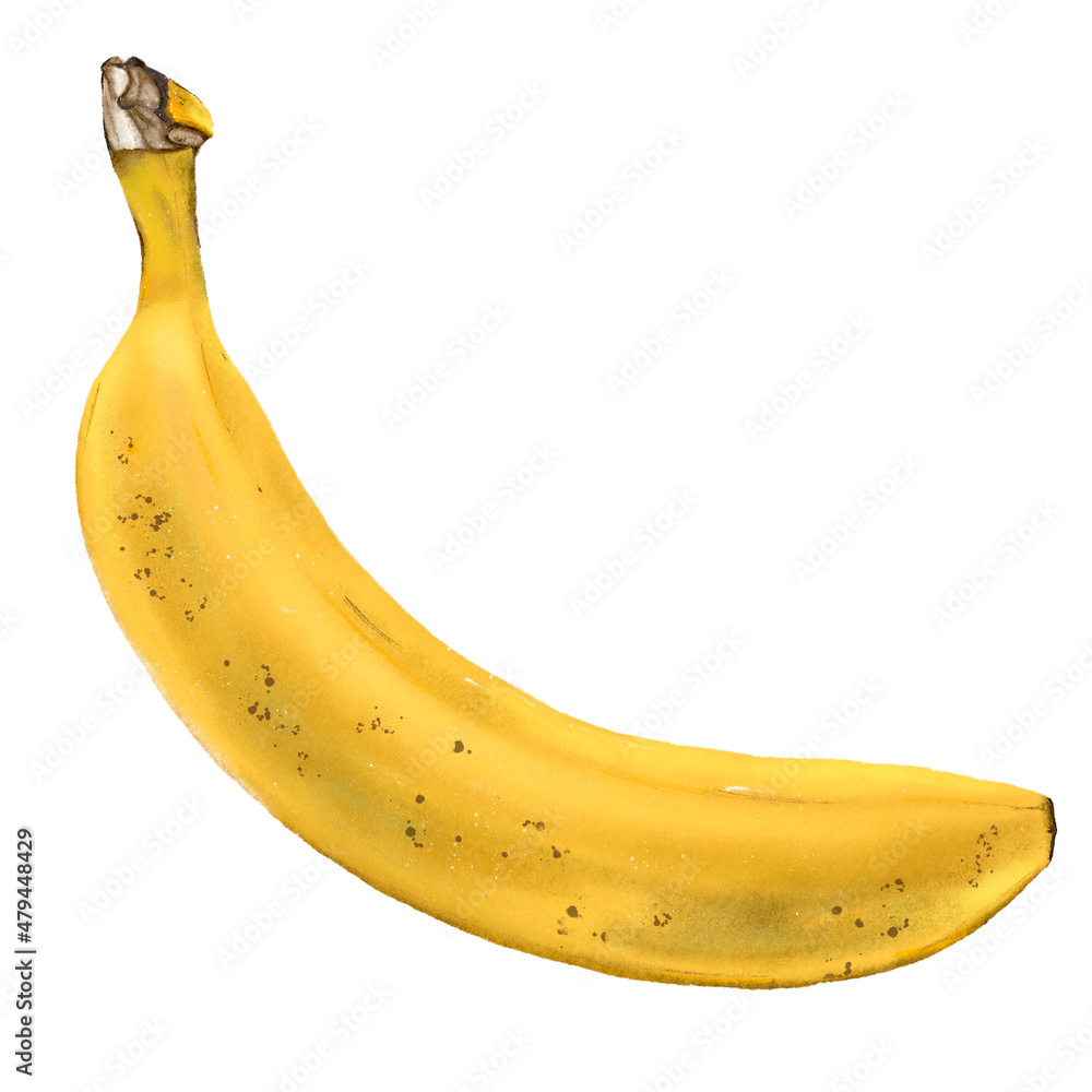 Realistic banana procreate illustration isolated on white background. Food, recipe and cook book clipart. Menu, cafe and  restaurant graphic. Exotic tropical fruit