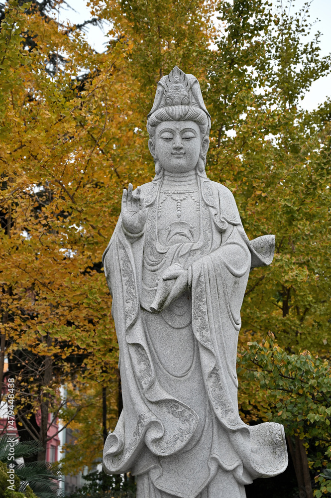 The Statue of Guanyin bodhisattva in China City Park