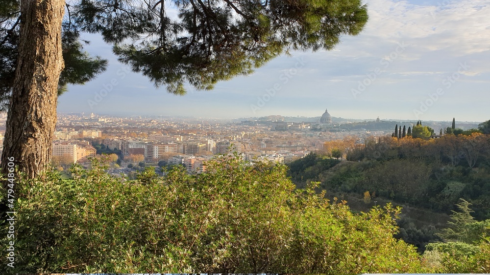 Rome city view with green pines