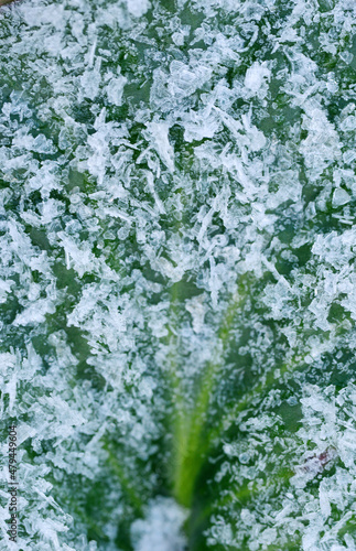 Ice crystals frost on a plant leaf macro view