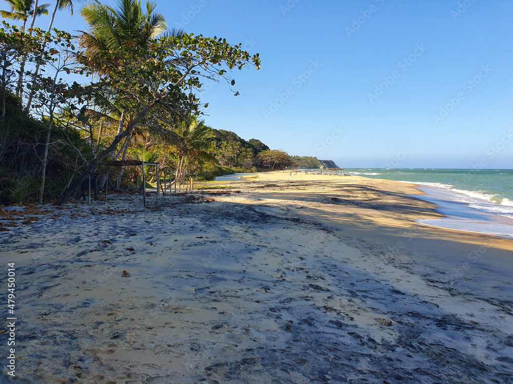 beach in the morning