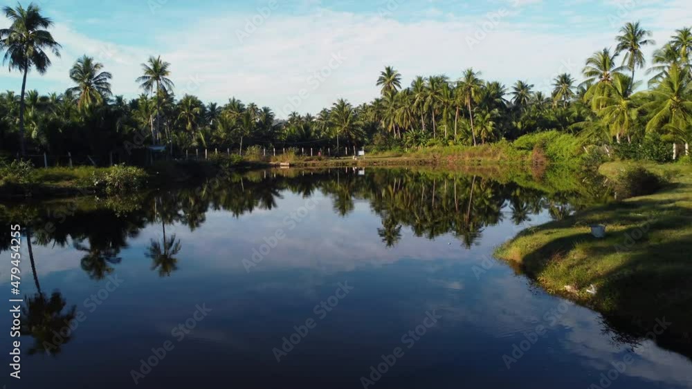 Amazing reflection on a quite inlet between green palm trees in Vietnam on a sunny partly cloudy day. Drone dolly panning shot. Amazing reflection on a quite inlet between green palm trees in Vietnam on a sunny partly cloudy day. Drone dolly panning shot.