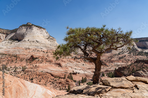 Zion National Park