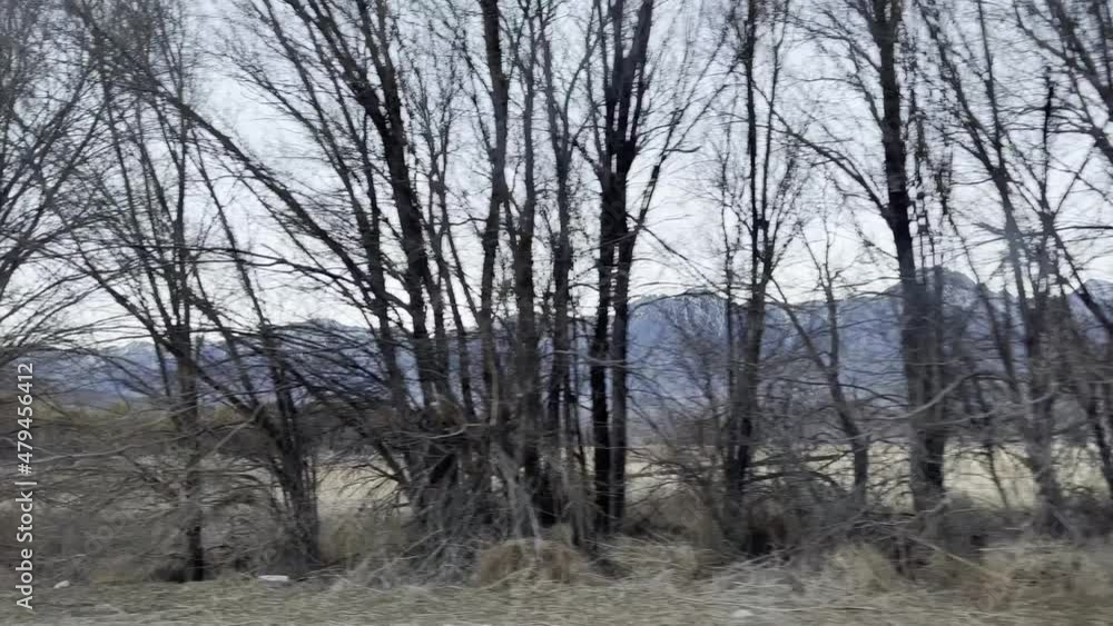 Driving thru Owens Valley East of Sierra Nevada California Driving thru Owens Valley East of Sierra Nevada California
